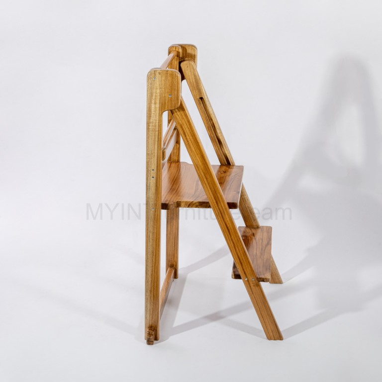 Folding ladder/learning tower